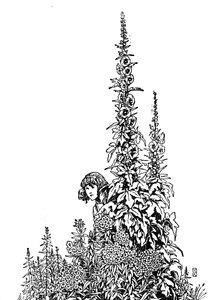 Gerda kendte hver blomst i haven, c1930 af William Heath Robinson