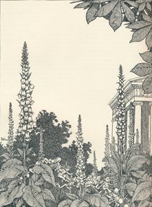 Illustration til en skærsommernatsdrøm, 1914, 1925. af William Heath Robinson