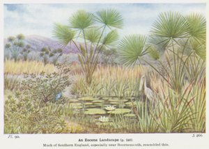 Et eocænt landskab (farve litho) af W. J. Stokoe