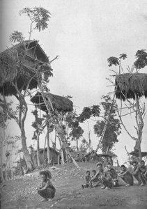 Dobos, træhuse for ugifte kvinder i Melanesia, 1902 af W. Lindt