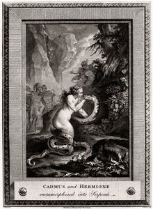 Cadmus og Hermione, metamorfoseret til slanger, 1776