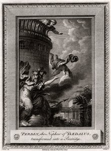 Perdix, Daedalus