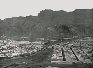 Generel visning, der viser Camel Market, Aden, 1895.