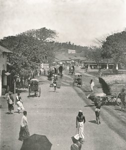 Gadebillede nær rådhuset, Colombo, Ceylon, 1895.