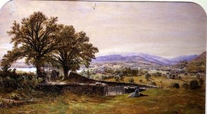 Dame i et landskab, Ambleside