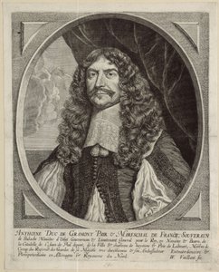  af Wallerant Vaillant