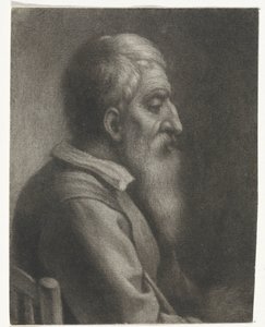  af Wallerant Vaillant