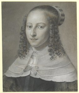  af Wallerant Vaillant