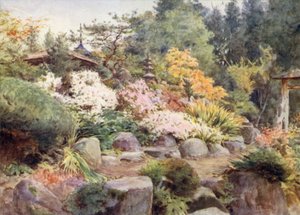 En klippehave på Nikko, kosmos og ahorn af Walter Frederick Roofe Tyndale