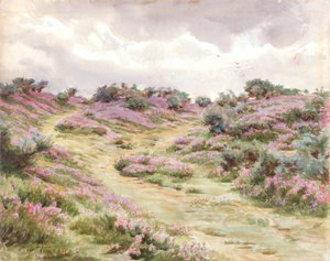 Klokkelyng på Setley-sletten (akvarel) af Walter Frederick Roofe Tyndale