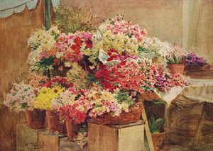 Blomsterbod i Mentone Market, c1910, 1912