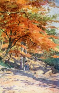 Ahorn ved Omori, nær Tokyo af Walter Frederick Roofe Tyndale