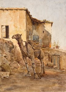 Opbundet kamel (akvarel) af Walter Frederick Roofe Tyndale