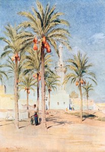 Moskeen i Aboukir (farvelitografi) af Walter Frederick Roofe Tyndale