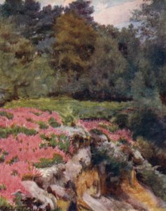 The New Forest: A Gravel Pit Head at Royden (farve litho) af Walter Frederick Roofe Tyndale