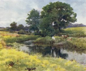 The New Forest: On the Lymington River (farve litho) af Walter Frederick Roofe Tyndale