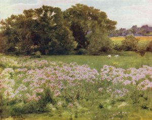 The New Forest: Riversdale, Boldre (farve litho) af Walter Frederick Roofe Tyndale