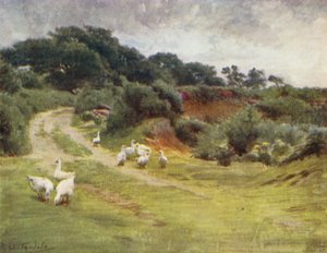 The New Forest: Roydon Common, nær Brockenhurst (farve litho) af Walter Frederick Roofe Tyndale
