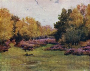 The New Forest: Rushpole Wood, Lyndhurst (farve litho) af Walter Frederick Roofe Tyndale