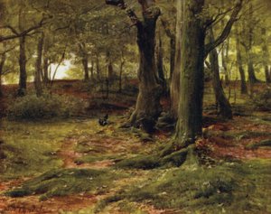 The New Forest: The Hill Woods, Lyndhurst (farve litho) af Walter Frederick Roofe Tyndale