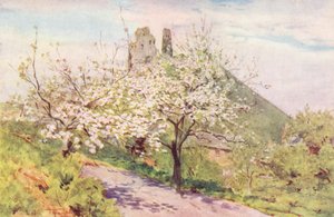 Wessex: Forår i Wessex (farvelitografi) af Walter Frederick Roofe Tyndale