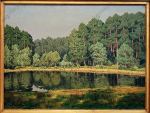 Skovlandskab med en sø i Brandenburg