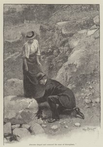 The Pursuit of the Well Beloved, af Thomas Hardy af Walter Paget