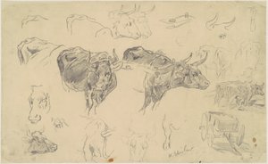 Studier af okser af Walter Shirlaw
