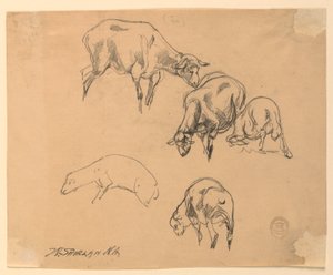 Studier af får af Walter Shirlaw