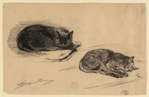 Studie af katte af Walter Shirlaw