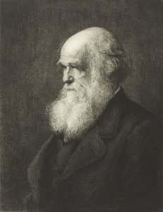 Charles Robert Darwin (gravering) af Walter William (after) Ouless
