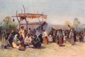 New Zealand: Native Gathering (farvelitografi)