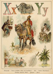 Bogstav X og bogstav Y (chromolitho)