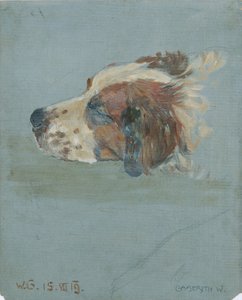 hundehoved af Walther Gamerith