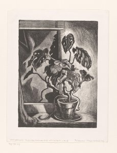 Philodendron i vinduesramme