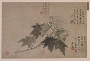 Hibiscus, 1347. af Wang Yuan