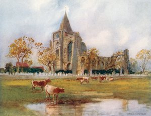  af Warwick (after) Goble