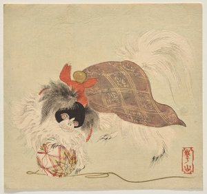 Japansk hagehund i lilla kappe leger med en silketrådsbold