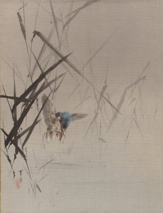 Fuglefangende fisk blandt rør, ca. 1887.