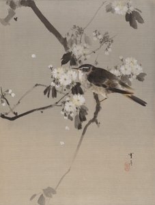 Fugle på en blomstrende gren, ca. 1887.