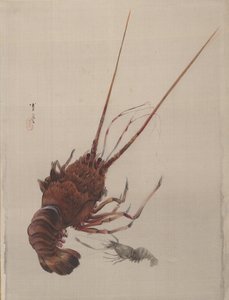 Krebs, ca. 1887.