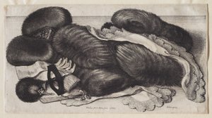  af Wenceslaus Hollar