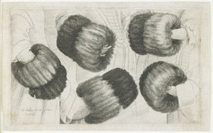 En muffe i fem synspunkter, 1645-1646 af Wenceslaus Hollar