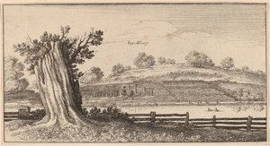 Albury af Wenceslaus Hollar