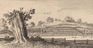 Albury, 1645. af Wenceslaus Hollar