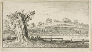 Albury med træstub i forgrunden af Wenceslaus Hollar