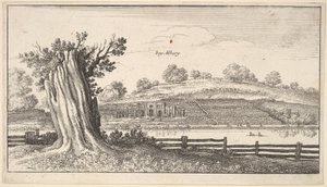 Albury med træstub i forgrunden, 1625-77. af Wenceslaus Hollar
