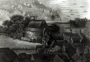 Bjørnehave, 1647 af Wenceslaus Hollar