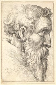 Skæggede gammel mand i profil til højre, 1645. af Wenceslaus Hollar