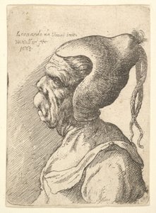 Buste af en deformeret kvinde med konisk hat og to dinglende fletninger i profil til venstre, 1665. af Wenceslaus Hollar
